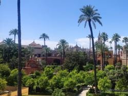 Foto 2 de 7