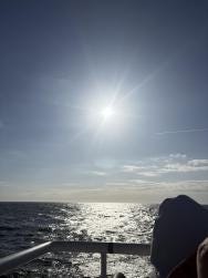Foto 1 de 1