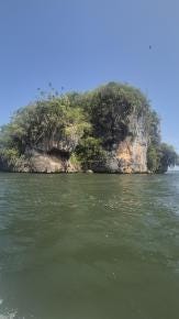 Foto 4 de 8