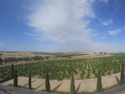 Foto {1} di {2}
