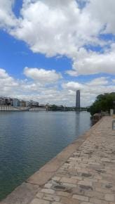 Foto 7 de 7