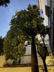 Foto 3 de 3