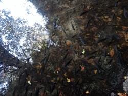Foto 1 de 2