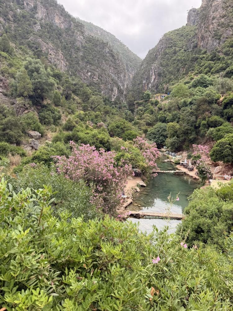Foto 1 de 2