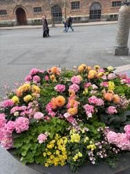 Foto 1 de 7
