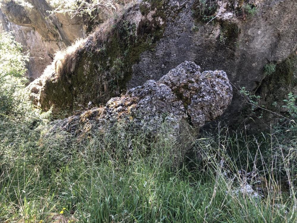 Foto 2 de 5