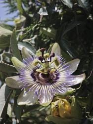Foto 1 de 2