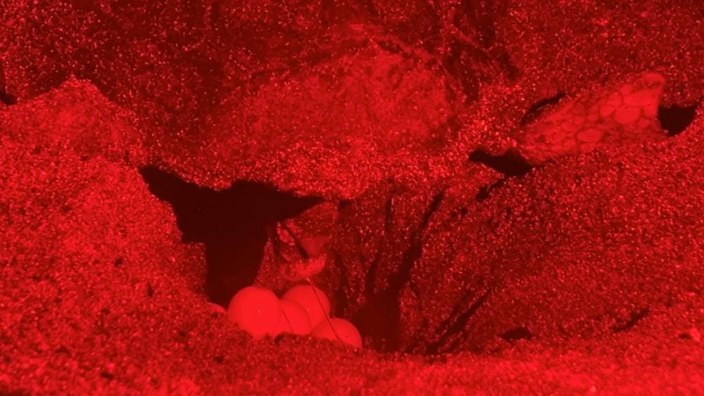 Foto 1 de 1