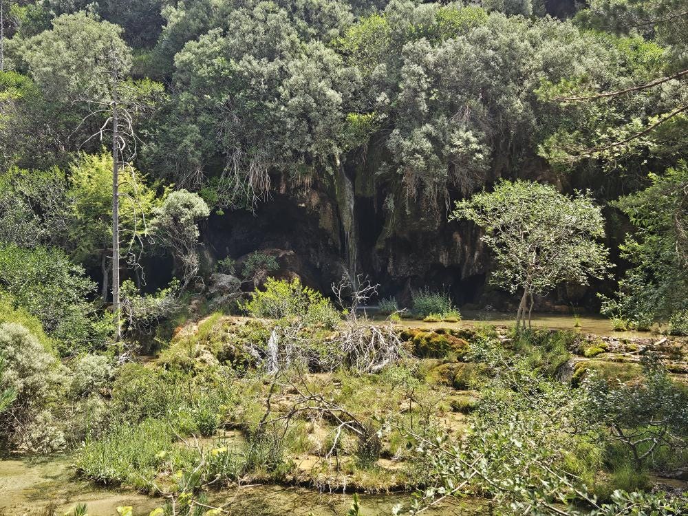 Foto 2 de 2