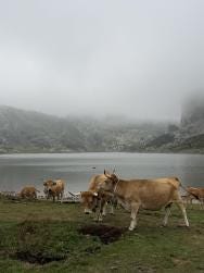 Foto 2 de 2