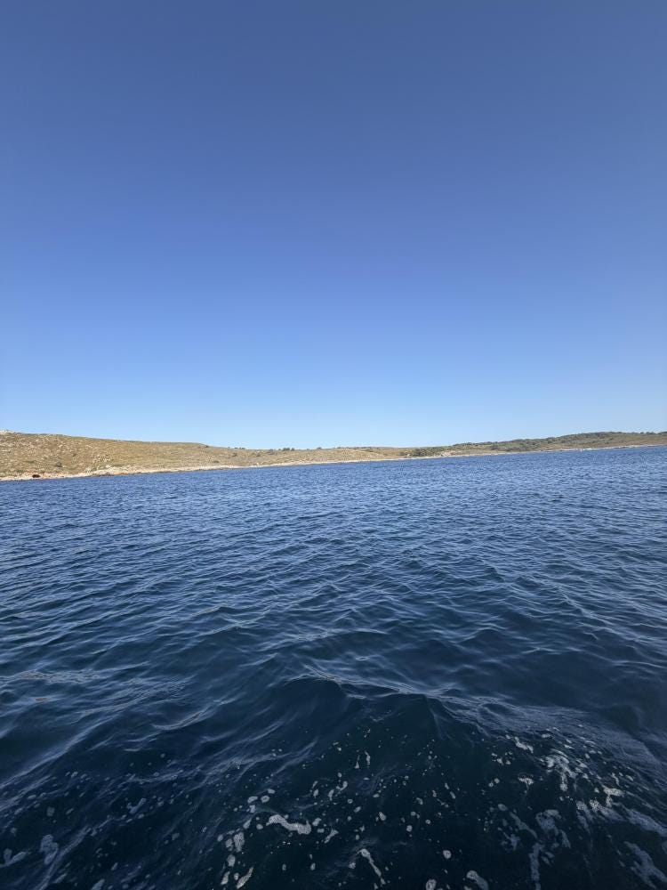 Foto 1 de 5