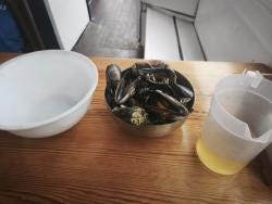 Foto 1 de 2