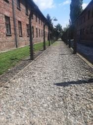 Foto 3 de 6