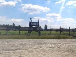 Foto 5 de 6
