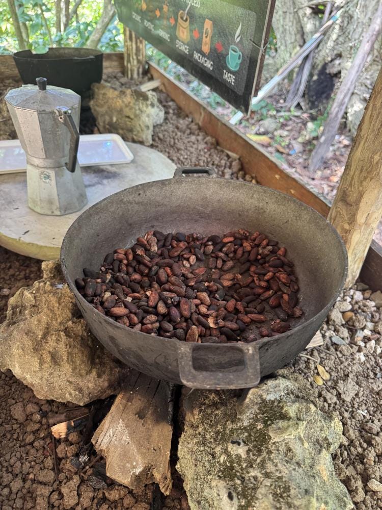 Foto 1 de 2