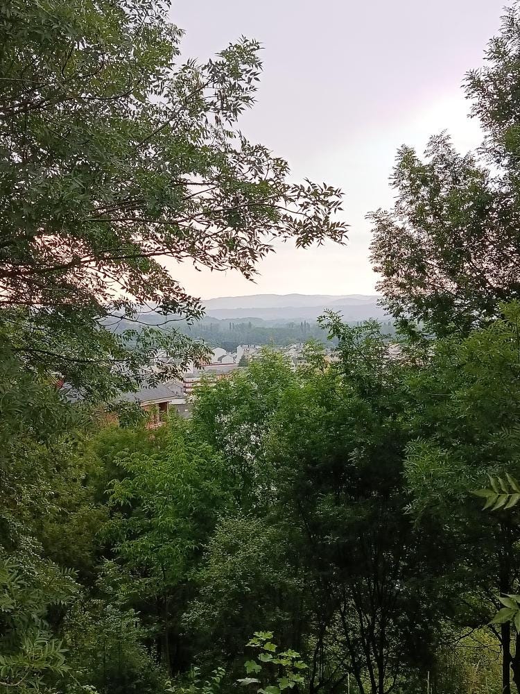 Foto 4 de 5