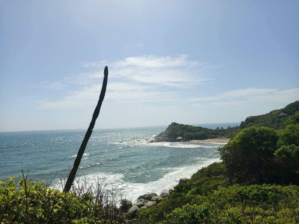 Foto 4 de 4