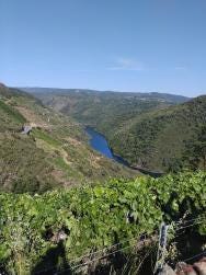 Foto 3 de 3