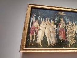 Foto 6 de 6
