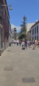 Foto 3 de 3