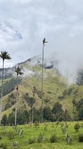 Foto 2 de 2