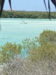 Foto 1 de 3