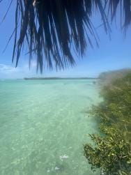 Foto 2 de 3