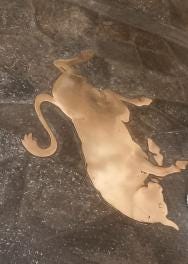 Foto 10 de 10