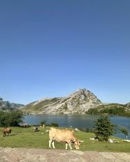 Foto 3 de 3
