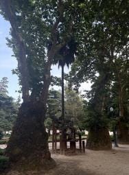 Foto 3 de 3