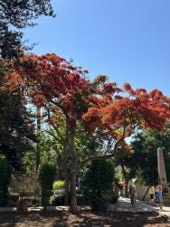 Foto 1 de 4