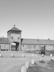 Foto 2 de 2