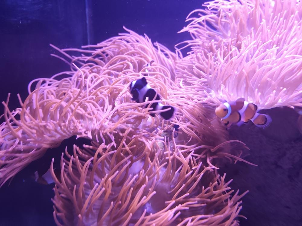 Foto 5 de 6