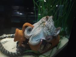 Foto 1 de 6