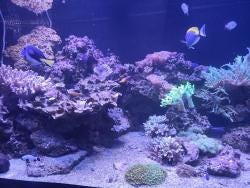 Foto 6 de 6