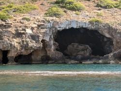 Foto 1 de 1