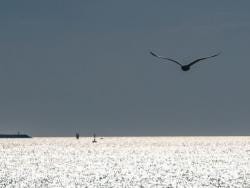 Foto {1} di {2}