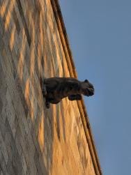 Image {1} of {2}