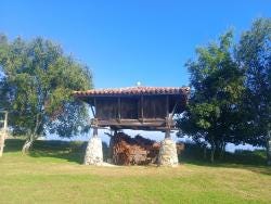 Foto 2 de 6