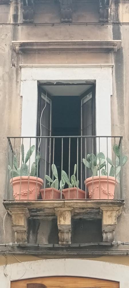 Foto 3 di 3