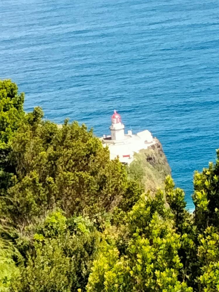 Foto 5 di 6