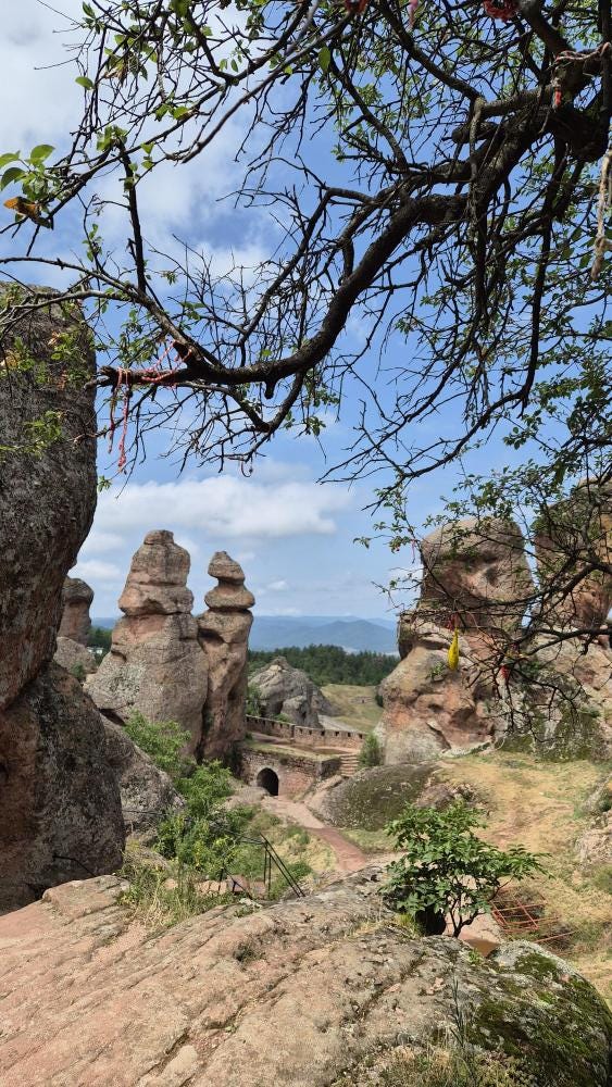 Foto 2 de 6