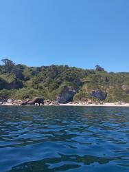 Foto 2 de 4