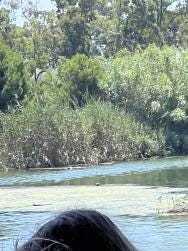 Foto 3 de 4