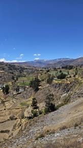 Foto 1 de 2