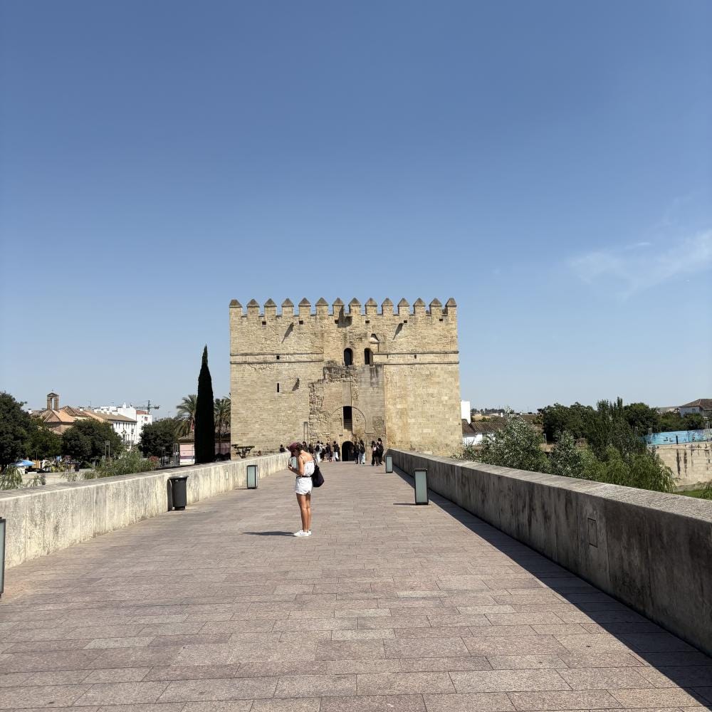 Foto 1 di 4