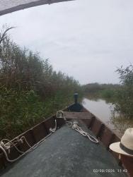 Foto 1 de 2