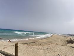 Foto 6 de 6