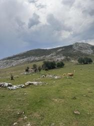 Foto 1 de 1