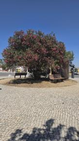 Foto 3 de 3